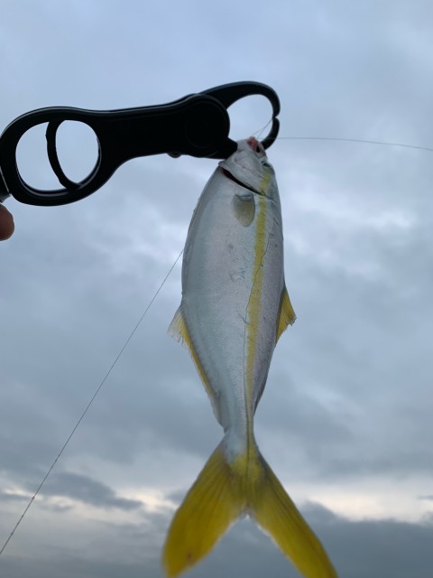 アブコ爆釣！！