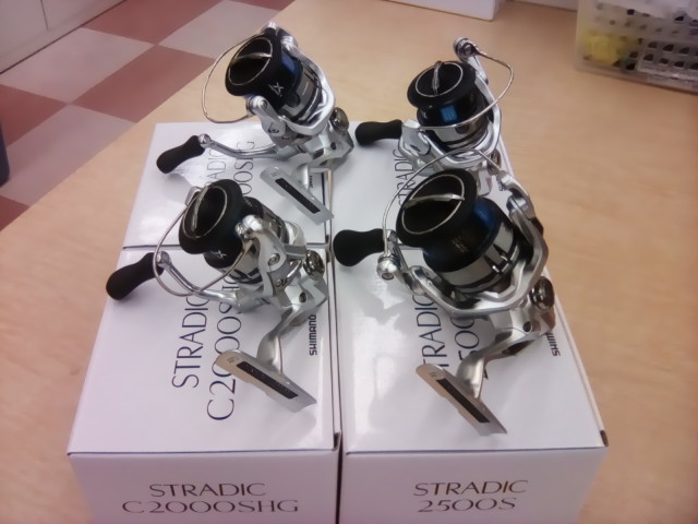 NEWストラディック入荷しました!!