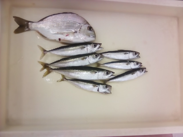 大漁スタンプラリーお持込頂きました！！