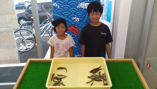 ハゼ釣り絶好調！サイズも良くなっています☆