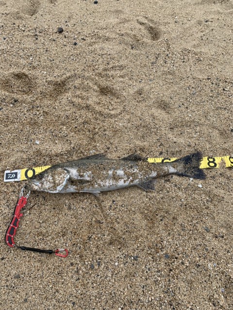 a7e68ce8-0ef0-483f-8ebf-2690e362a7fe