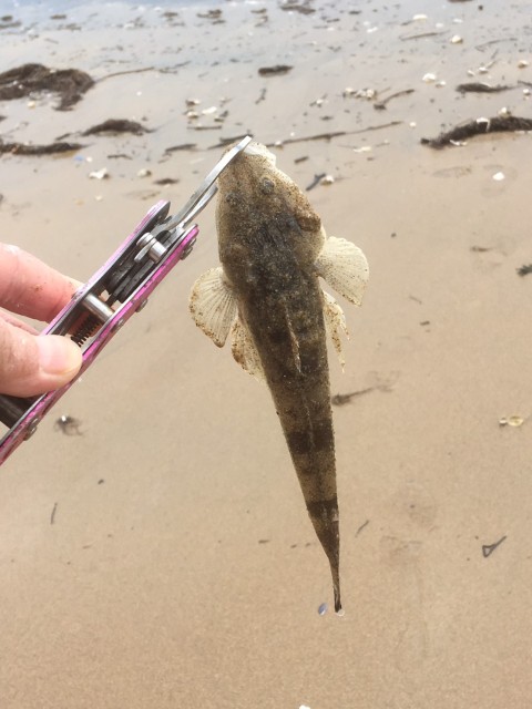 ae84a518-0de2-4b65-99fb-0cb9118a5fb8