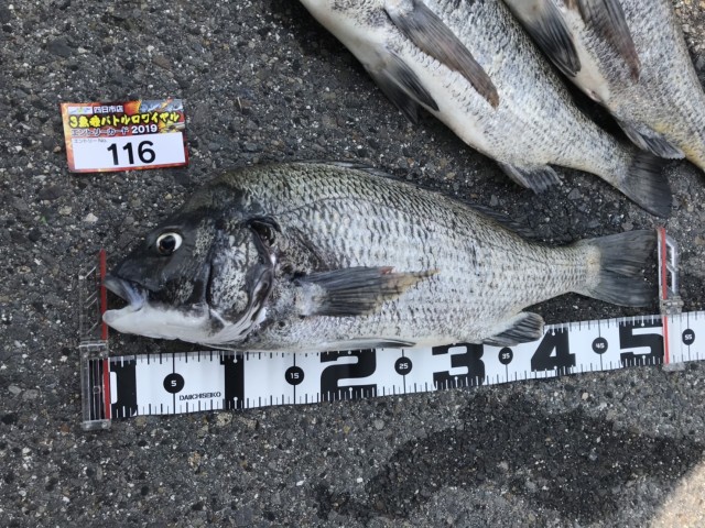 c525b254-37b2-4428-b046-92800ef7605f