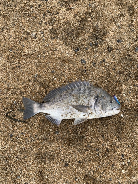 c9de3cc1-e609-496c-a583-a76f605d774c