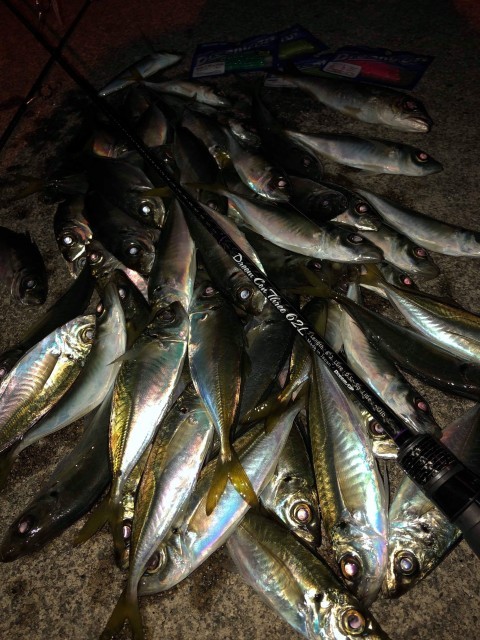 cid_16786b09d2c79af1c222-480x640