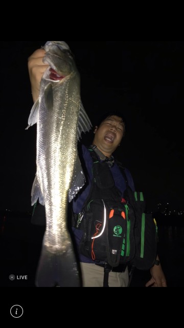 dacb5a0f-0465-425b-87d9-e0a9060df4c3