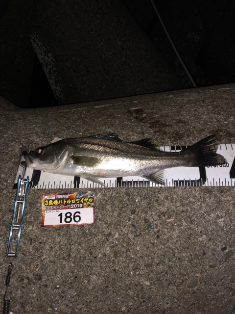 e89955ab-686e-4a59-a171-ad4038f77b27