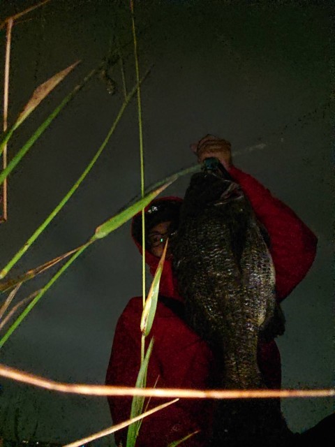 f7589745-5572-486d-b10a-813eba642cf3