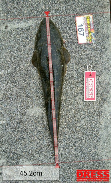 fe92ef90-95af-4c5c-bdc0-6e738e87884f