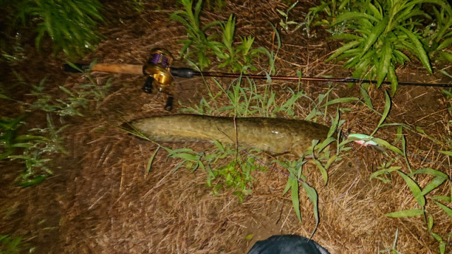 o1080060714487373869