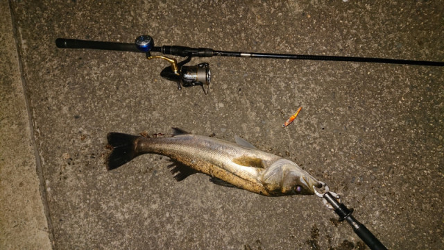 o1080060714495460871