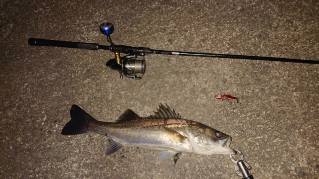 o1080060714495460883