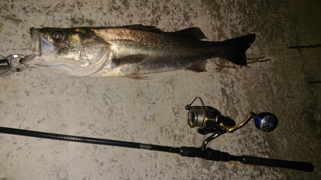 o1080060714495460895