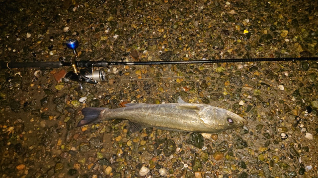 o1080060714511136811