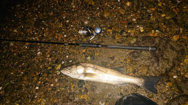 o1080060714511136818