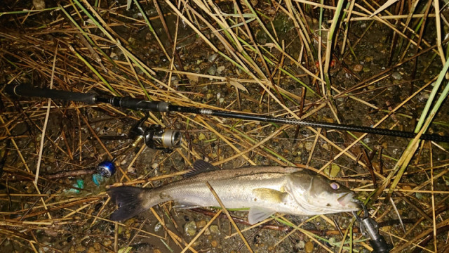 o1080060714511136834