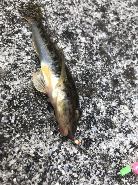 01696a3f-8c3c-4280-a4dd-d1781c87442c