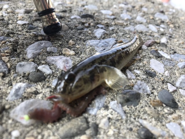 6675ddb0-ae53-45a5-8d50-da897c733158