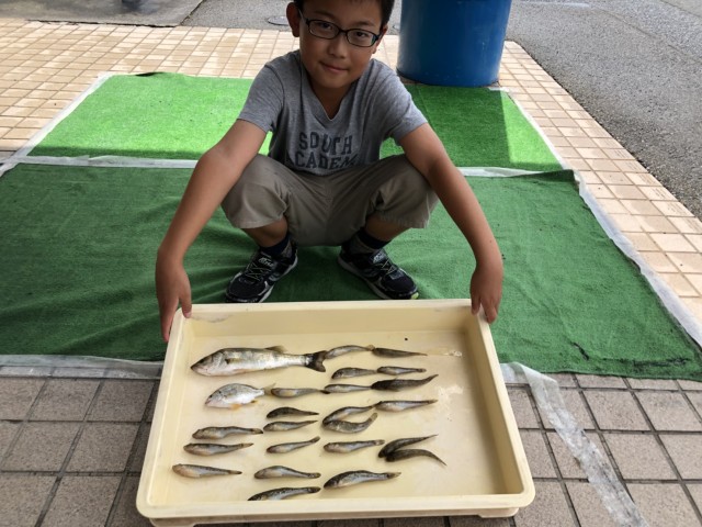 71fab7da-e462-4cf8-a58c-26559b99600c