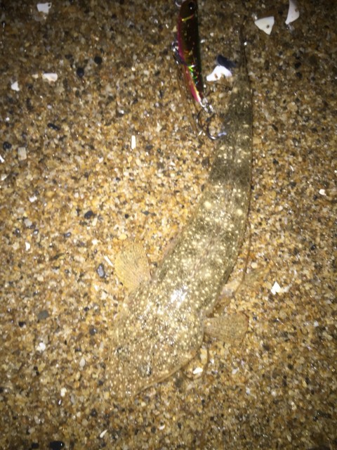 81194442-d549-415c-9cc8-531084bea0bd