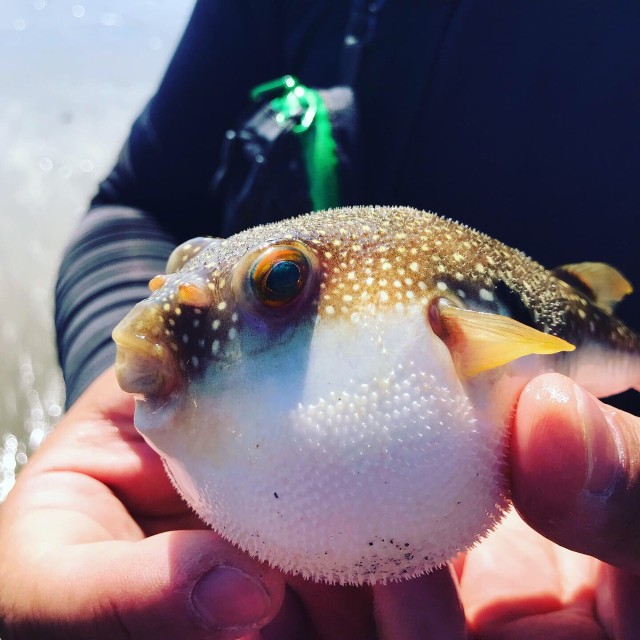 90aac3ab-503f-42d2-be19-e3b8c079b700