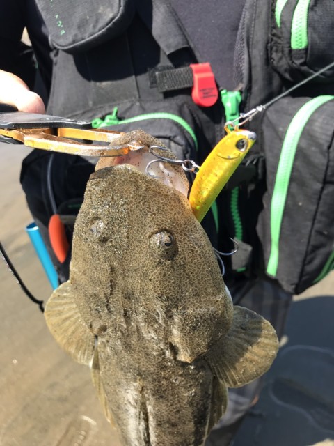 97aedafb-0ee3-4399-8ea3-4d133c67ba85