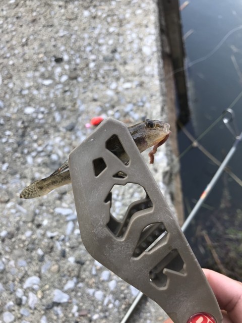 97e270e6-d096-45d7-8dec-3f4ce532670d