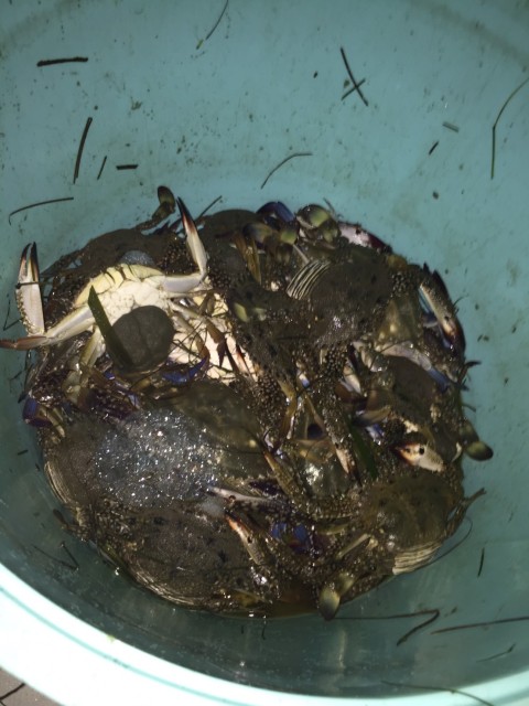 C4mbgWSYmptWDNuZXjmvzXA4mWmrKFovcTxlgBgQMQxl3jxFin9soI8fBGh33S_osrjz726W1w4Fdx6g158hPk7R1tyyf0nj9hLYCNtI5C19ZFkR-nlhadbUSbSF9EI-