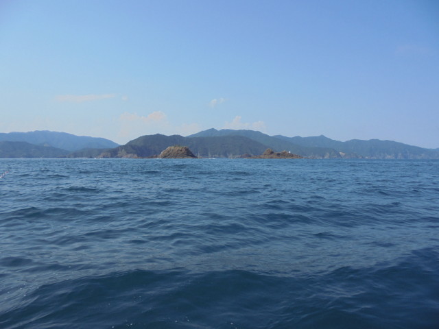 錦でフカセ釣り♪イサキが好調でした～（笑