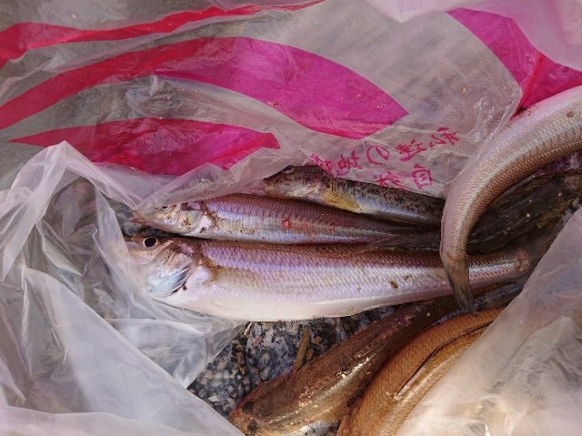 DSC_0514 - コピー