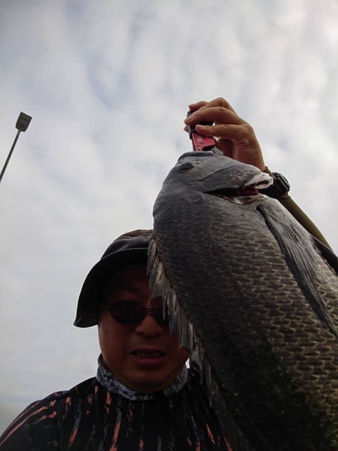 ZsAUVsyaE_-epxZPrb0hYkSE0saFiDua1Lt1wpy54-LKMmOrnEd8uWlpQtORNLeavo5uuEztHsU1-5m0h9qvPyLBnZPDJXRpnUjr_7GBhPhcs2d2TobCLjqFjbC7QnMc