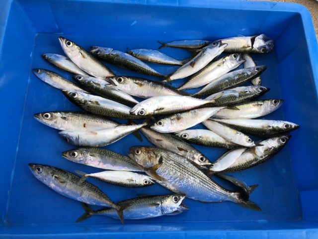 a9dce63a-be98-4d5e-a275-ae6126348d64