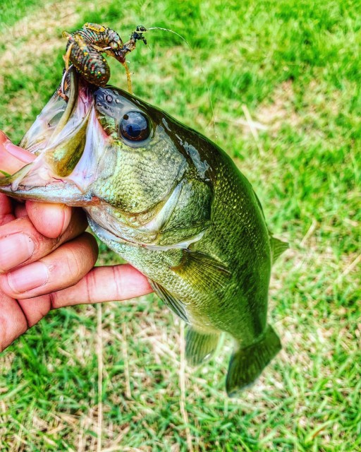 adcb1fb1-69df-4cc0-9d9a-2e0a6f3fc1a4