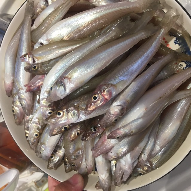 addd5229-8c39-42bb-afbd-c89ef2bc5c5b