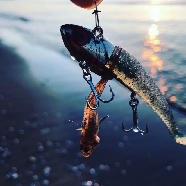 d3a60b8a-f131-4a83-8a96-1101e0b3f2c4