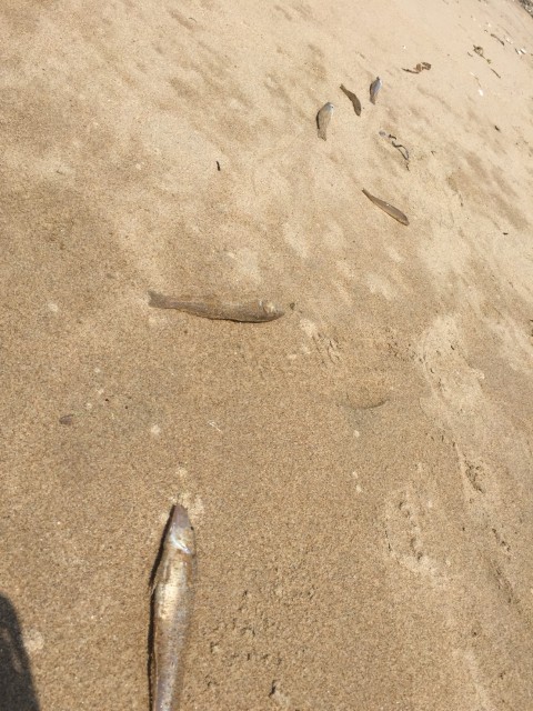 fbc8f163-49ab-403c-b603-a001eab2f776