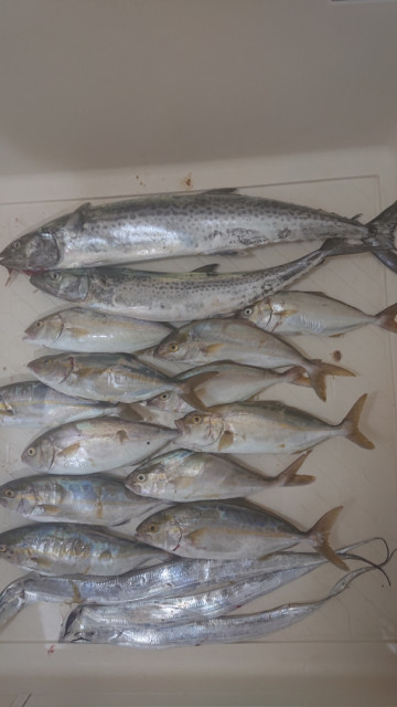 o0607108014526577017 (1)