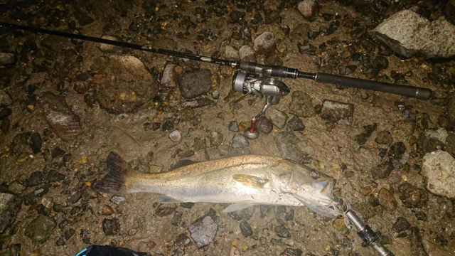 o1080060714522823497