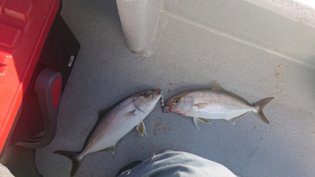 o1080060714526576992 (1)