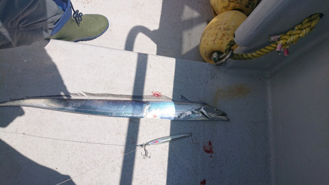 o1080060714526576999 (1)