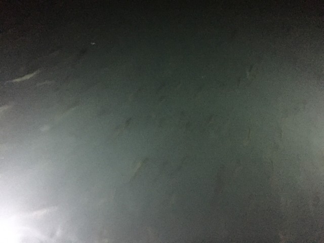 rSujc6eCMeokyqOsMoxUC-j_TpCHknjFLI-BFjHCosGdo-V3we5KDs82fMcn1TpIyPOQU98wt2--P16M8Ps8_bwUy3lZoUy0yy5cOnZc63MF2IhUJRlbWxtqev6Pe8xL