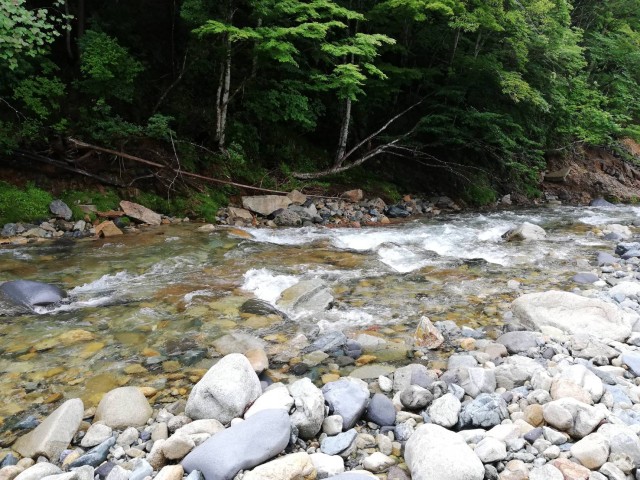 渓流ルアー釣行へ！
