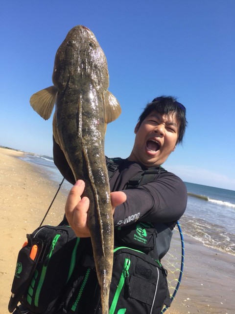 53006504-d236-416b-b6fa-d2dca47eb73d