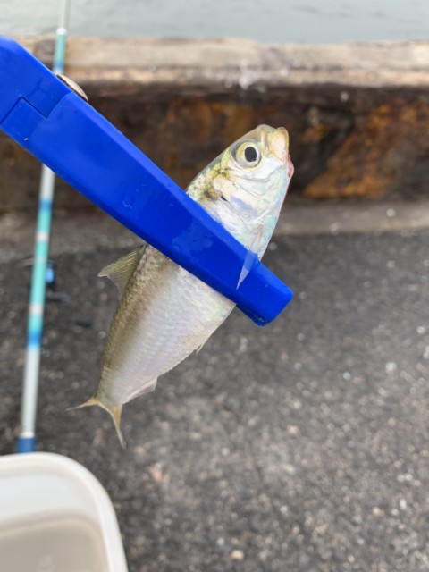 5a36d6da-326b-439a-96b0-da03d259dcb6