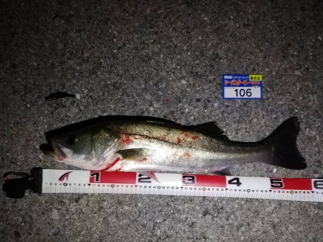 9.20№106シーラー様