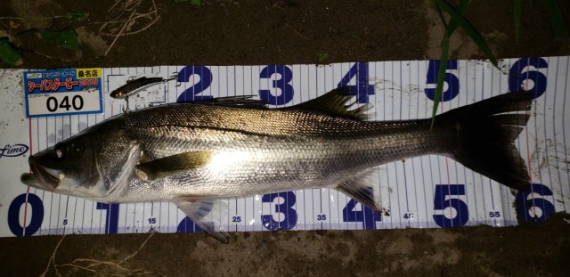 9.25№40まさ様②