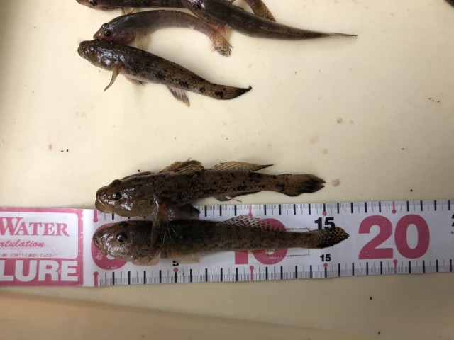 90f433bd-8b48-42bb-a9d0-d810d83a3bef