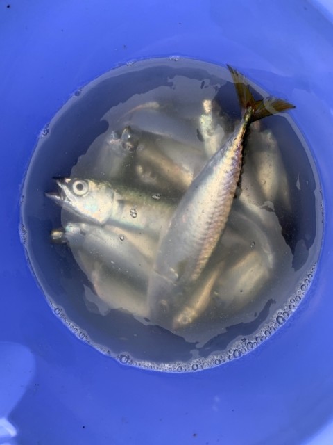 9d2d9464-972b-4483-9c98-ec890c36cdc8