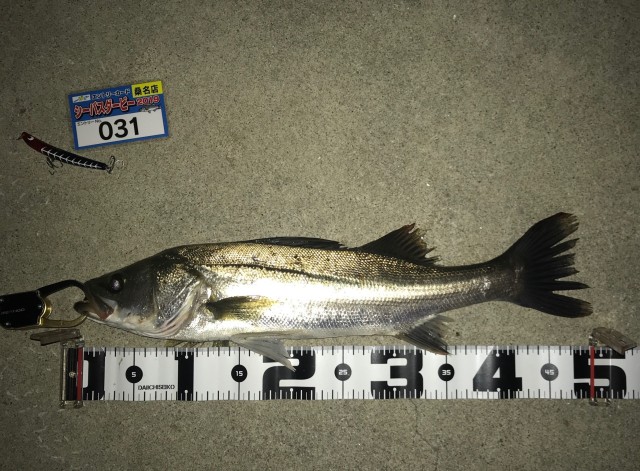 9月3日№31川添様