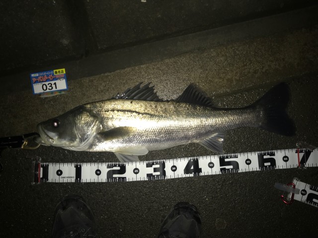 9月３日②№31川崎様